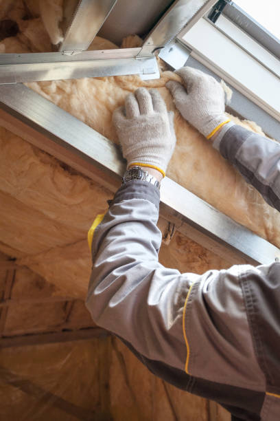Best Insulation Removal  in Keokuk, IA