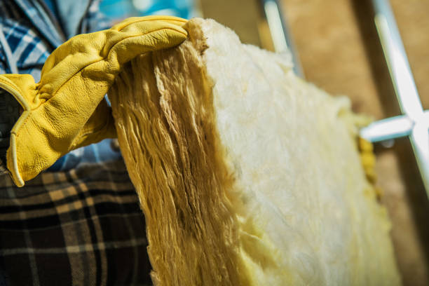 Best Insulation Repair Services  in Keokuk, IA