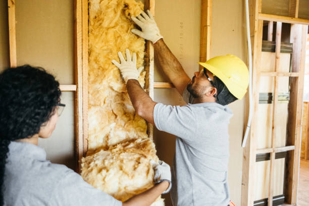 Best Affordable Insulation Services  in Keokuk, IA